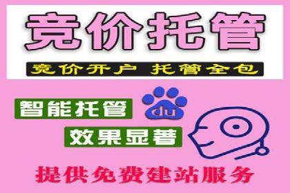 案例解析：SEM推广优化实战经验